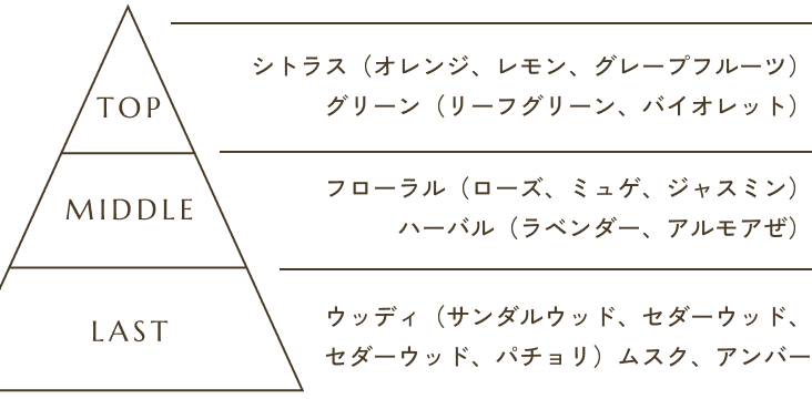 香りのピラミッド。TOP：シトラス（オレンジ、レモン、グレープフルーツ）、グリーン（リーフグリーン、バイオレット）。MIDDLE：フローラル（ローズ、ミュゲ、ジャスミン）、ハーバル（ラベンダー、アルモアゼ）。LAST：ウッディ（サンダルウッド、セダーウッド、パチョリ）、ムスク、アンバー。